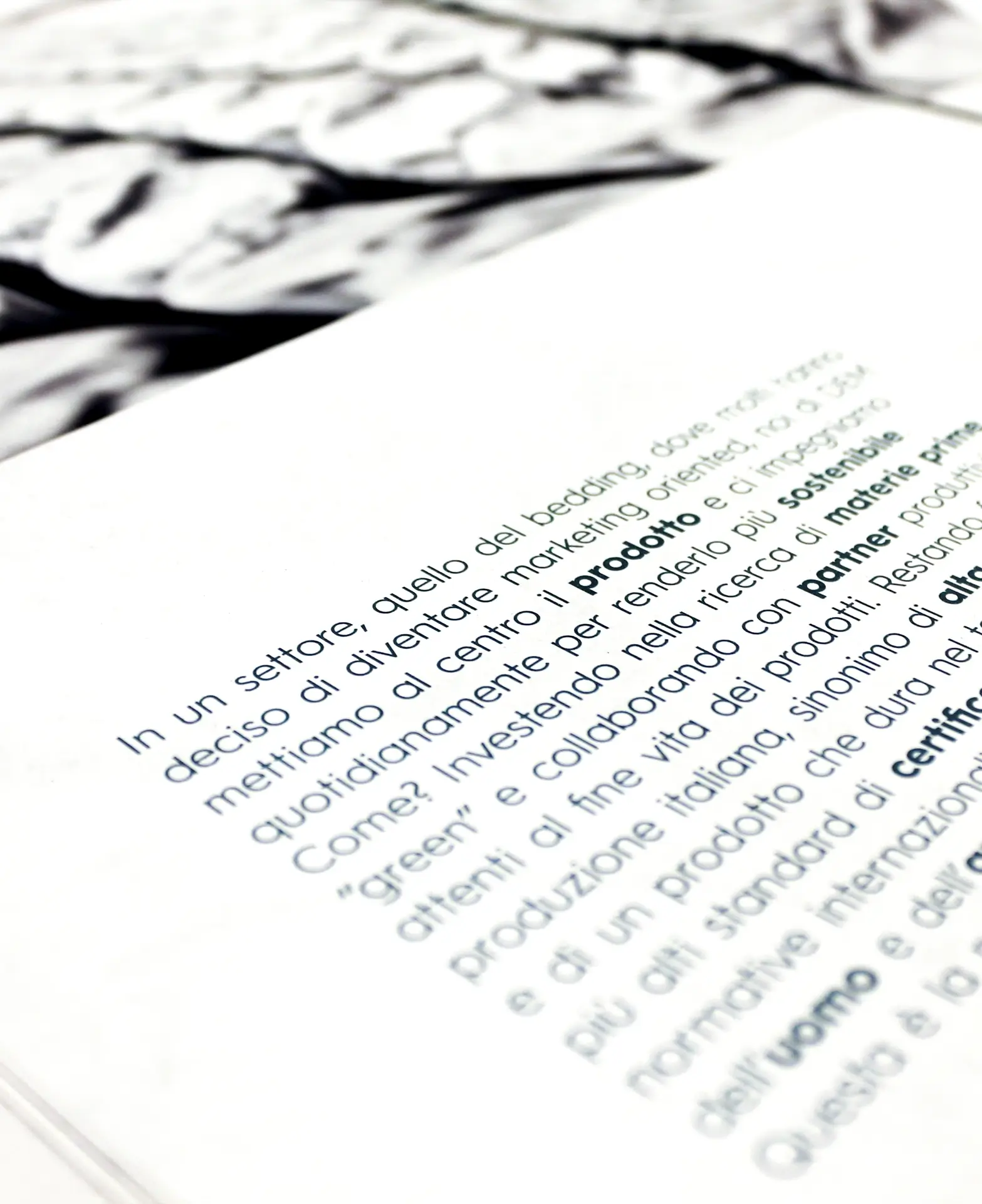 Dem Armonie del Sonno - case study